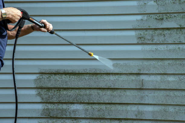 Best Roof Pressure Washing  in Pepperdine University, CA
